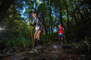 BIB: 
                            <button type="button" onclick="openModal(19232282)" class="btn btn-primary btn-sm float-right btn-popup" data-toggle="modal" data-target=".modal-high-quality">
                        <i class="fas fa-shopping-cart"></i> Add to Cart
                    </button>
                                            <button type="button" onclick="isThisMe(19232282, true)" class="btn btn-success btn-sm float-right btn-popup btn-isme hidden" data-toggle="tooltip" data-placement="bottom" title="นี่คือรูปของคุณใช่ไหม คลิกที่นี่เพื่อเอาเข้าอัลบั้ม">
                        <i class="fas fa-plus"></i> Add to album
                    </button>
                    <button type="button" onclick="isThisMe(19232282, false)" class="btn btn-warning btn-sm float-right btn-popup btn-isnotme hidden">
                        <i class="fas fa-ban"></i> Remove from album
                    </button>